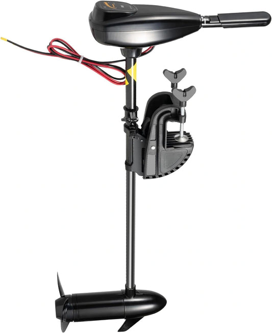 Moteur, Appareil électrique, 800 W, 12 V